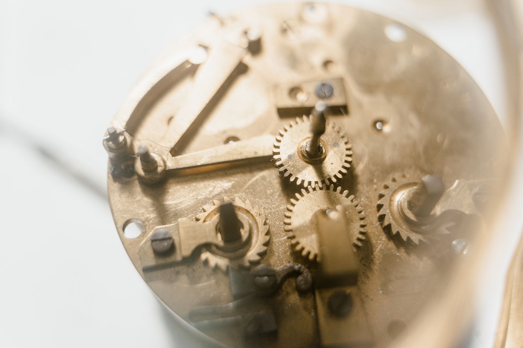 Clockmaker holding a restored brass movement